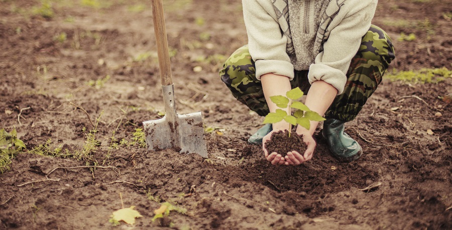 Abusi E Diritti Nelle Filiere Agro-alimentari: Un Convegno In Ateneo