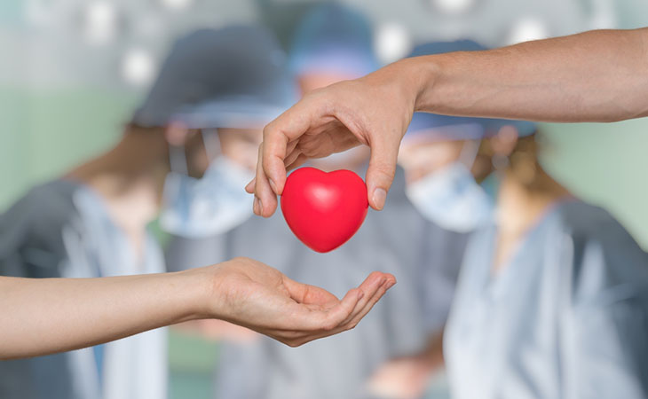 La Solidarietà Tra I Templi: Arrivano Gli Sportelli Per Donare Un Organo