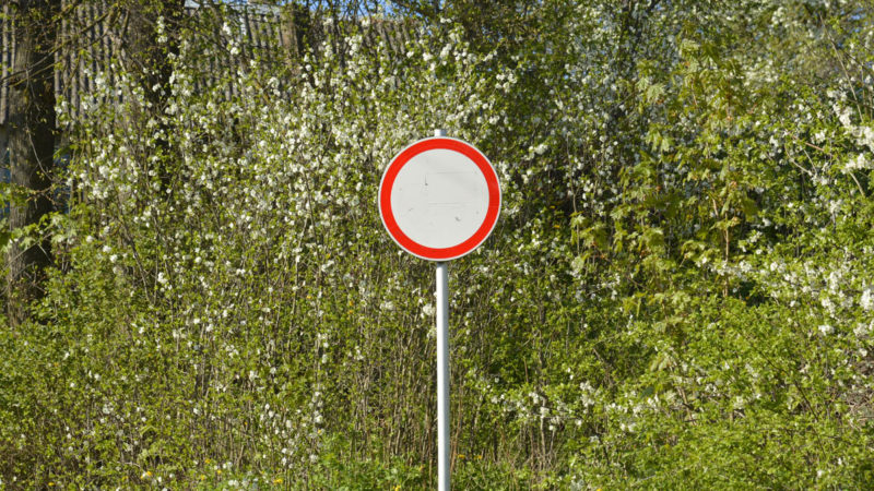 Traffic Prohibited Road Sign On A Background Of Green Trees