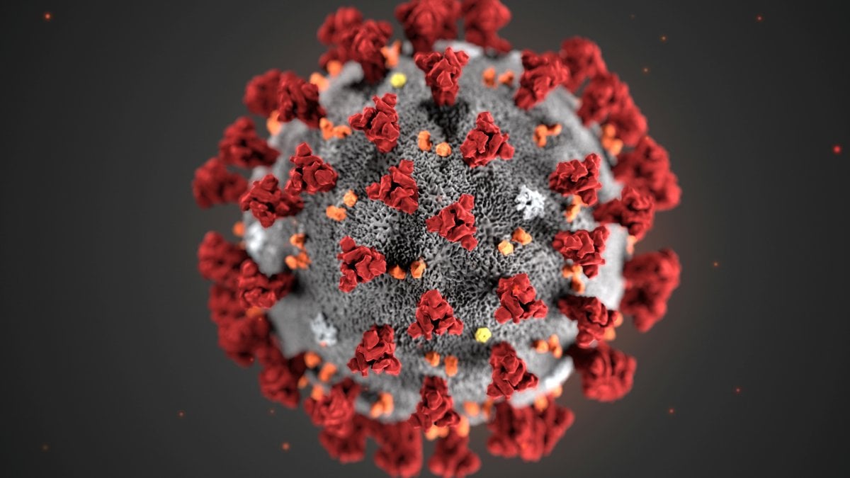 Il Coronavirus E La Risposta Del Cristiano