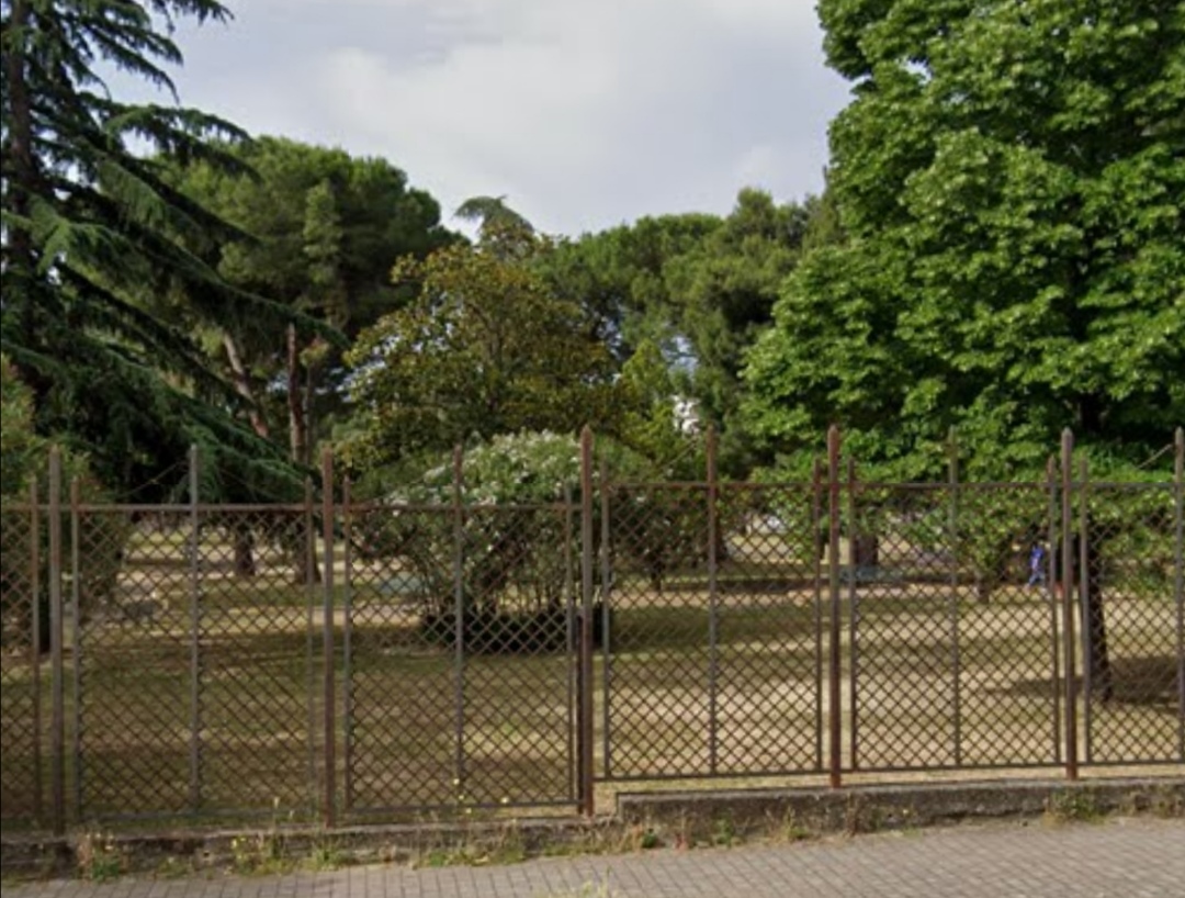 Un ‘memoriale Verde’ Per Le Vittime Del Covid-19: Alberi Piantumati Nei Parchi E Nelle Scuole Di Battipaglia